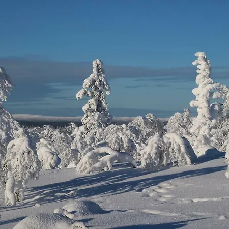 Polaris Homes For You,