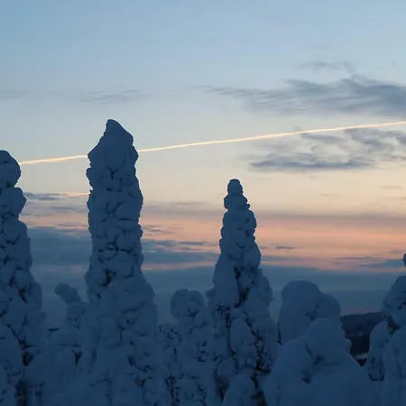 Polaris Homes For You, فندق